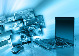 Подписка на полгода